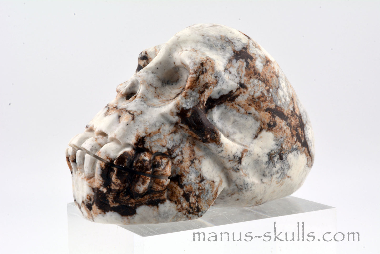 GASPEITE (Lemon Chrysoprase) SKULL