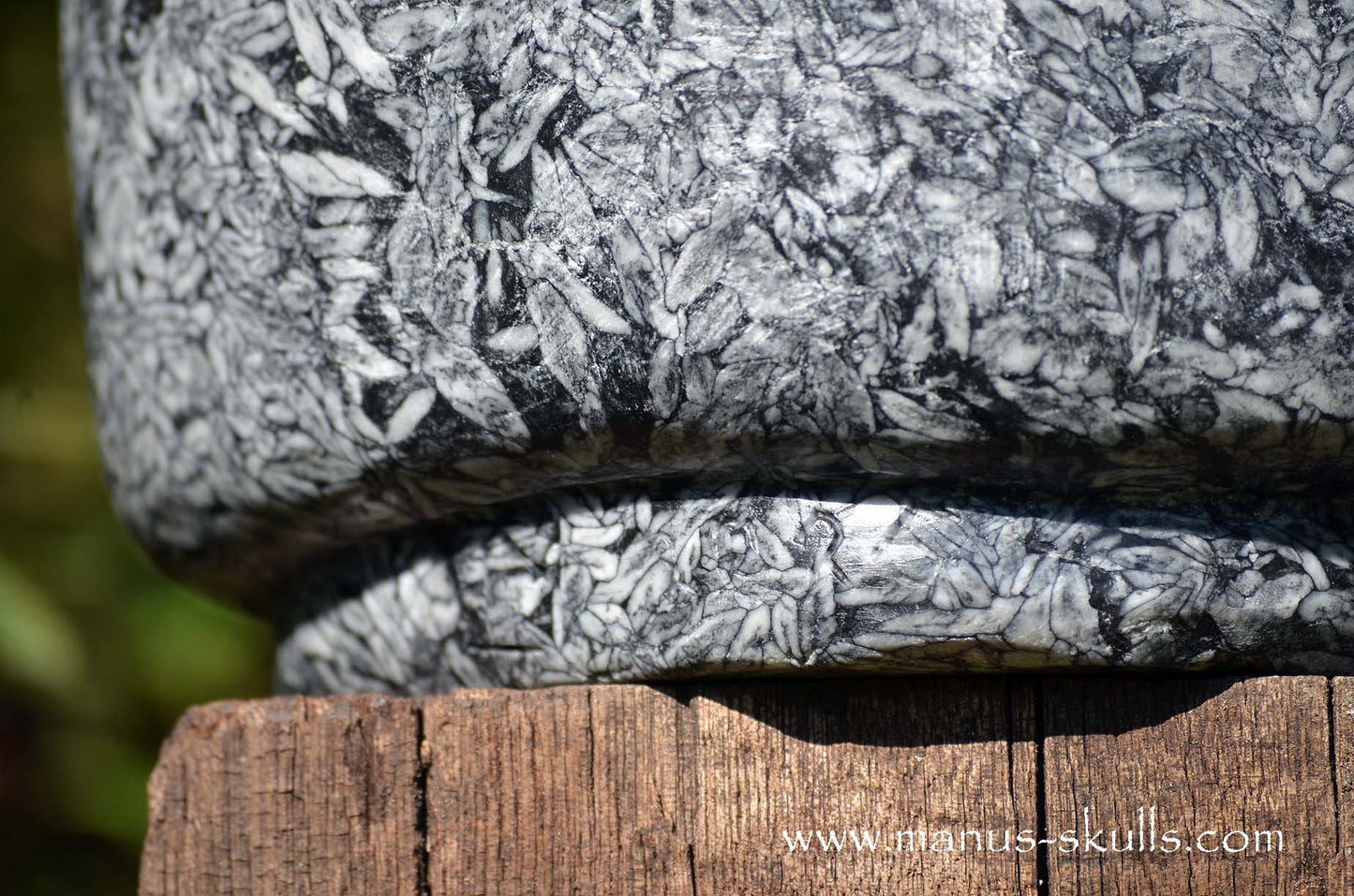 Austrian Pinolith Evolian #08