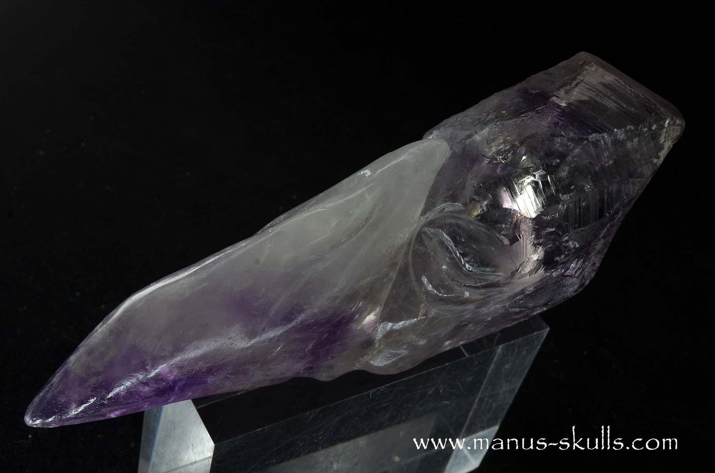 Phantom Amethyst Dragon Bird Skull .....