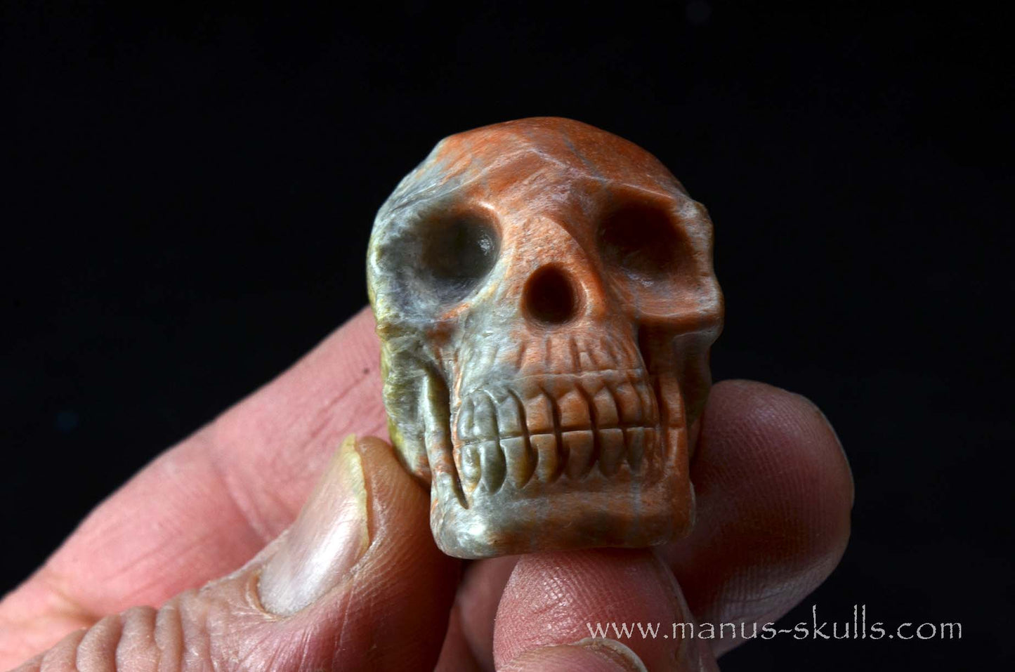 Rare Barytocelestine / Celestobaryte Skull