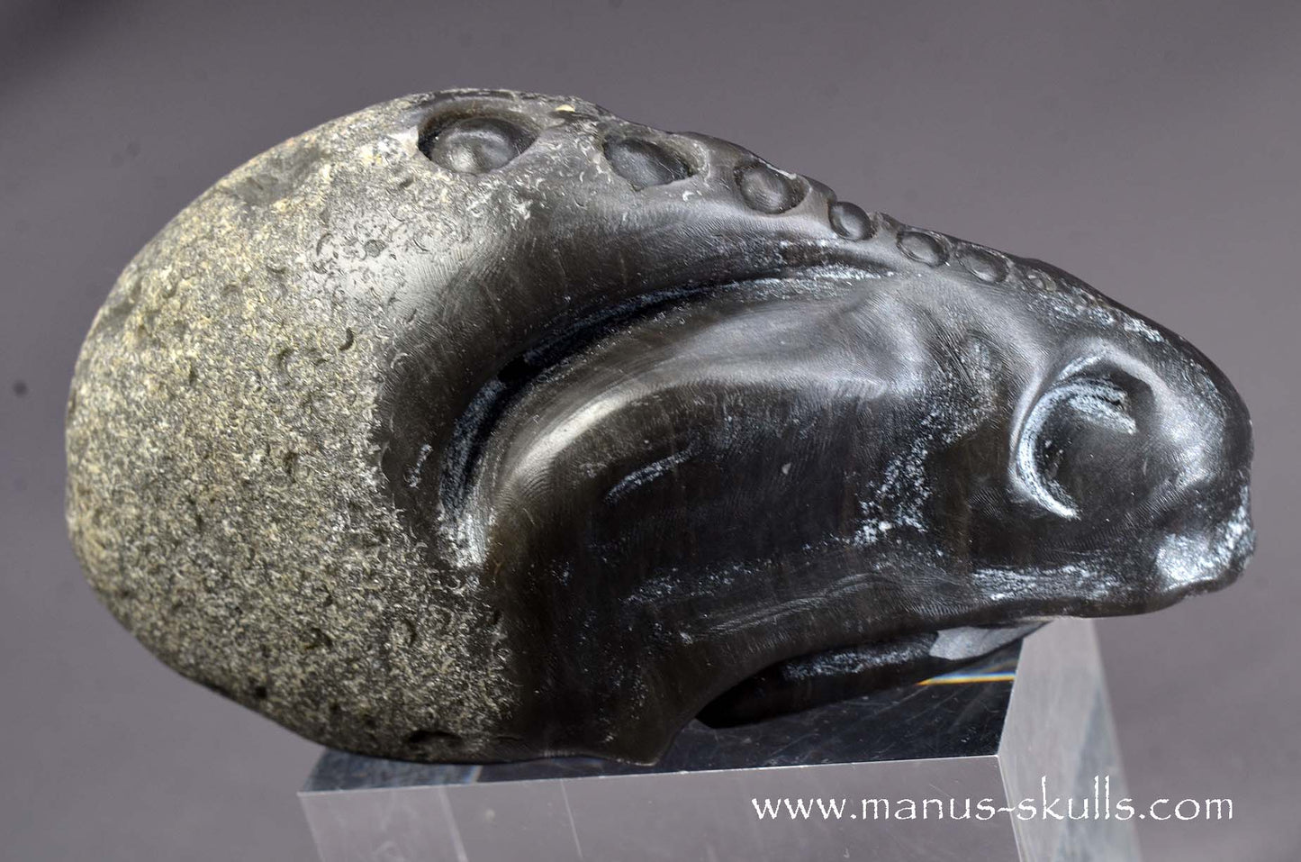 Agni Manitite Alien Skull