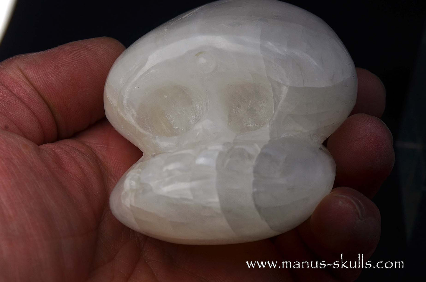 White Calcite Evolian Skull  #05