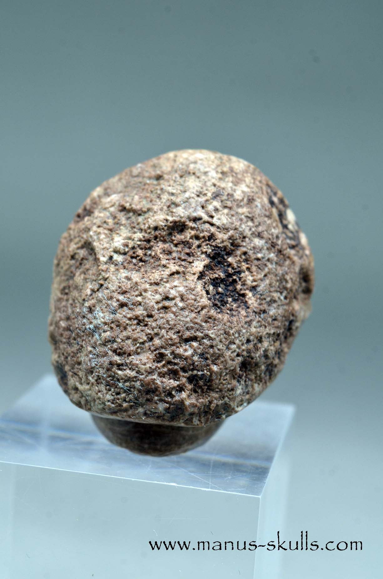 Aragonite Nodul Evolian Skull 2025 #02