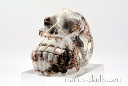 GASPEITE (Lemon Chrysoprase) SKULL