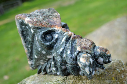 Large Preseli Bluestone Skull.