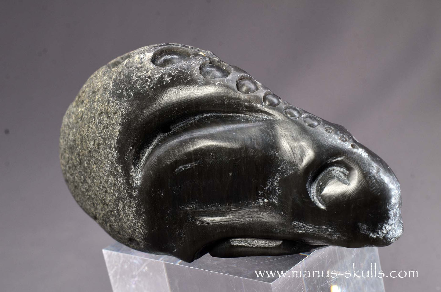 Agni Manitite Alien Skull