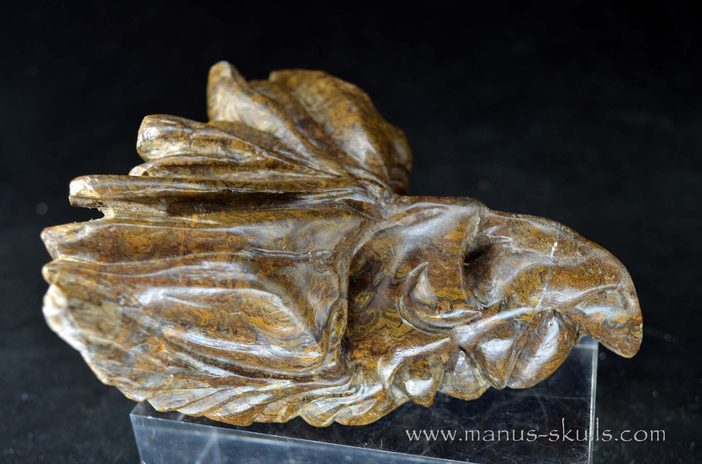 Stromatolite Dragon