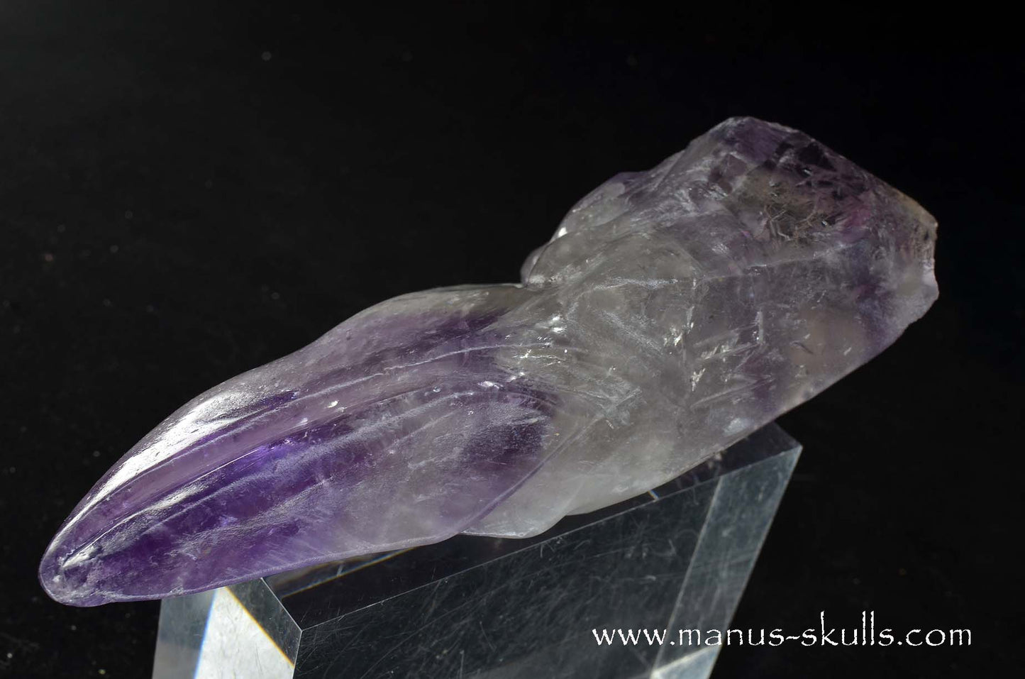 Phantom Amethyst Dragon Bird Skull .....