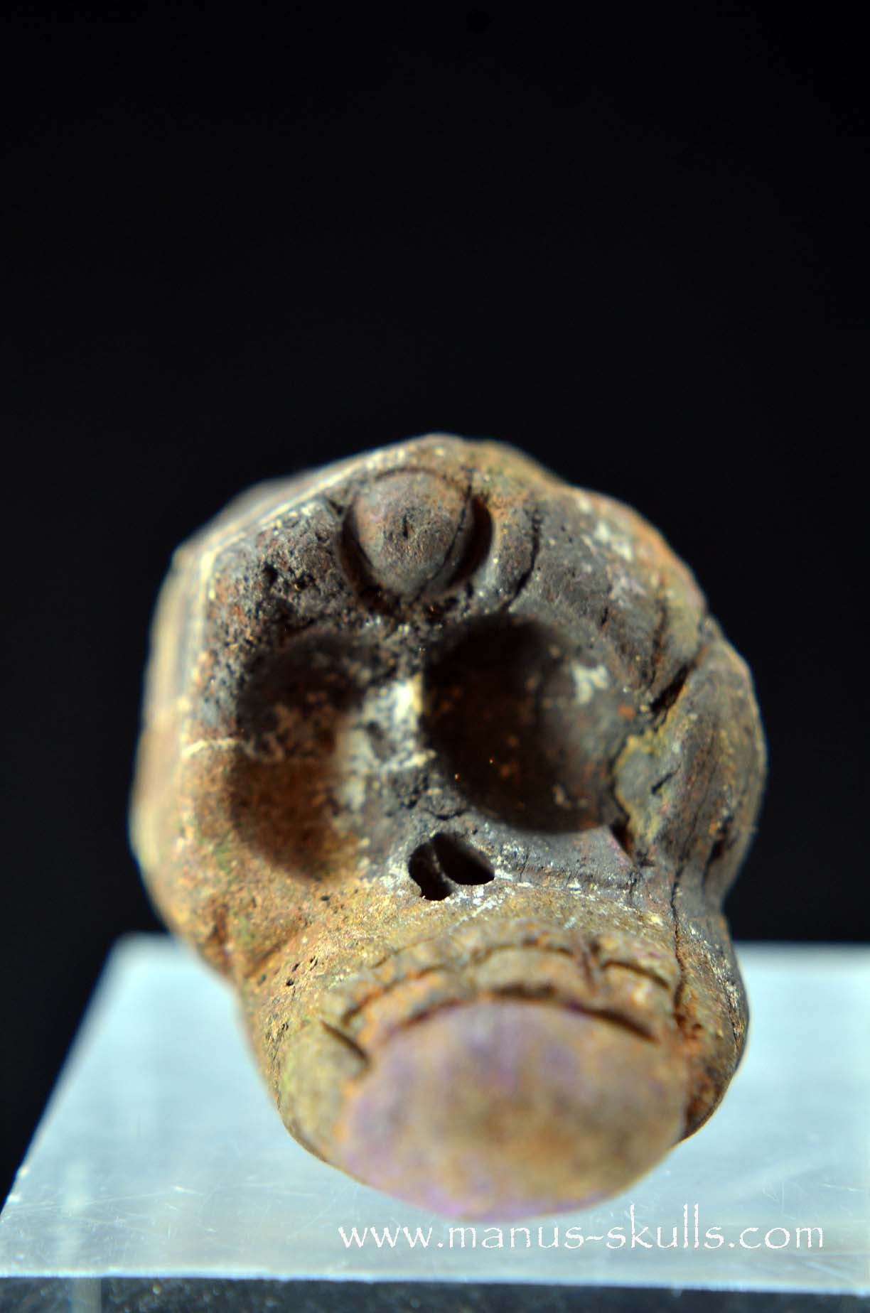 Manus skulls unique Crystal Carvings handmade skulls dragons pendants preseli bluestone tribals spiritual meaning wand Unicorn .. Evolian 2025 purpurite