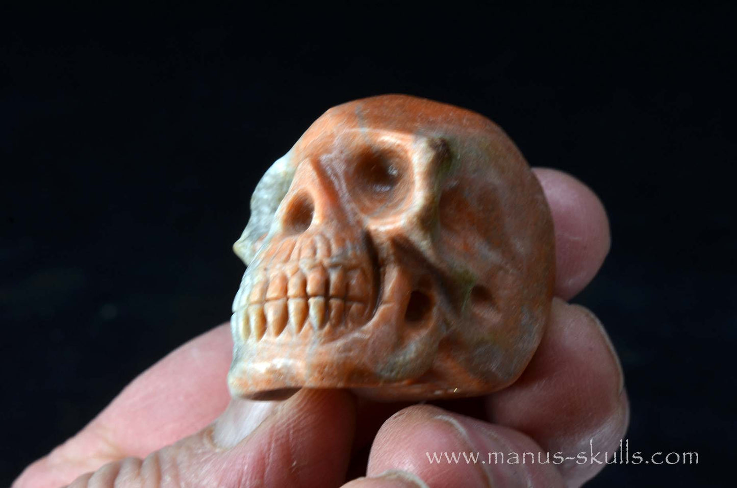 Rare Barytocelestine / Celestobaryte Skull