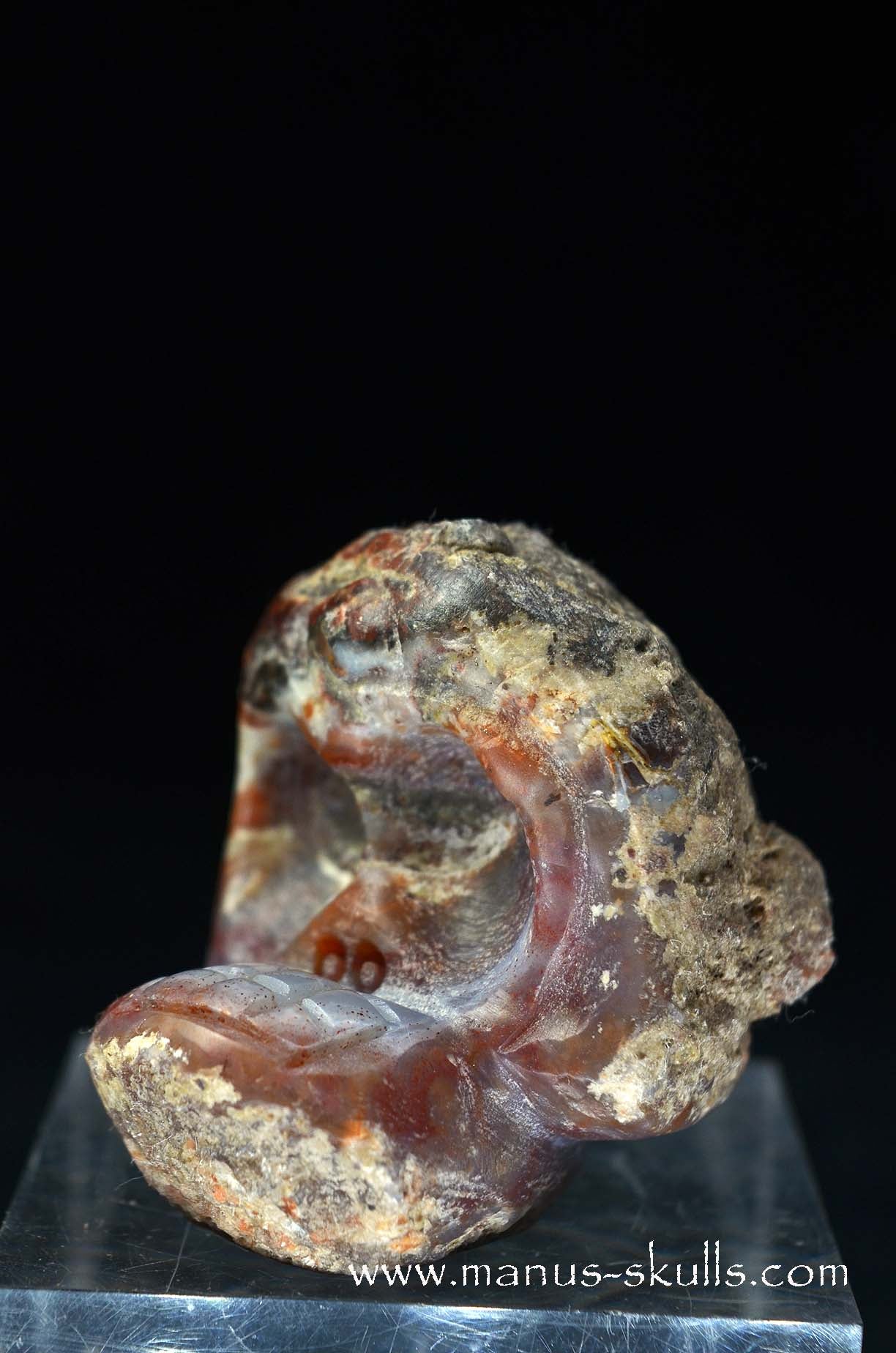 Manus skulls unique Crystal Carvings handmade skulls dragons pendants preseli bluestone tribals spiritual meaning wand Unicorn .. agate geode Evolian