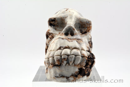 GASPEITE (Lemon Chrysoprase) SKULL