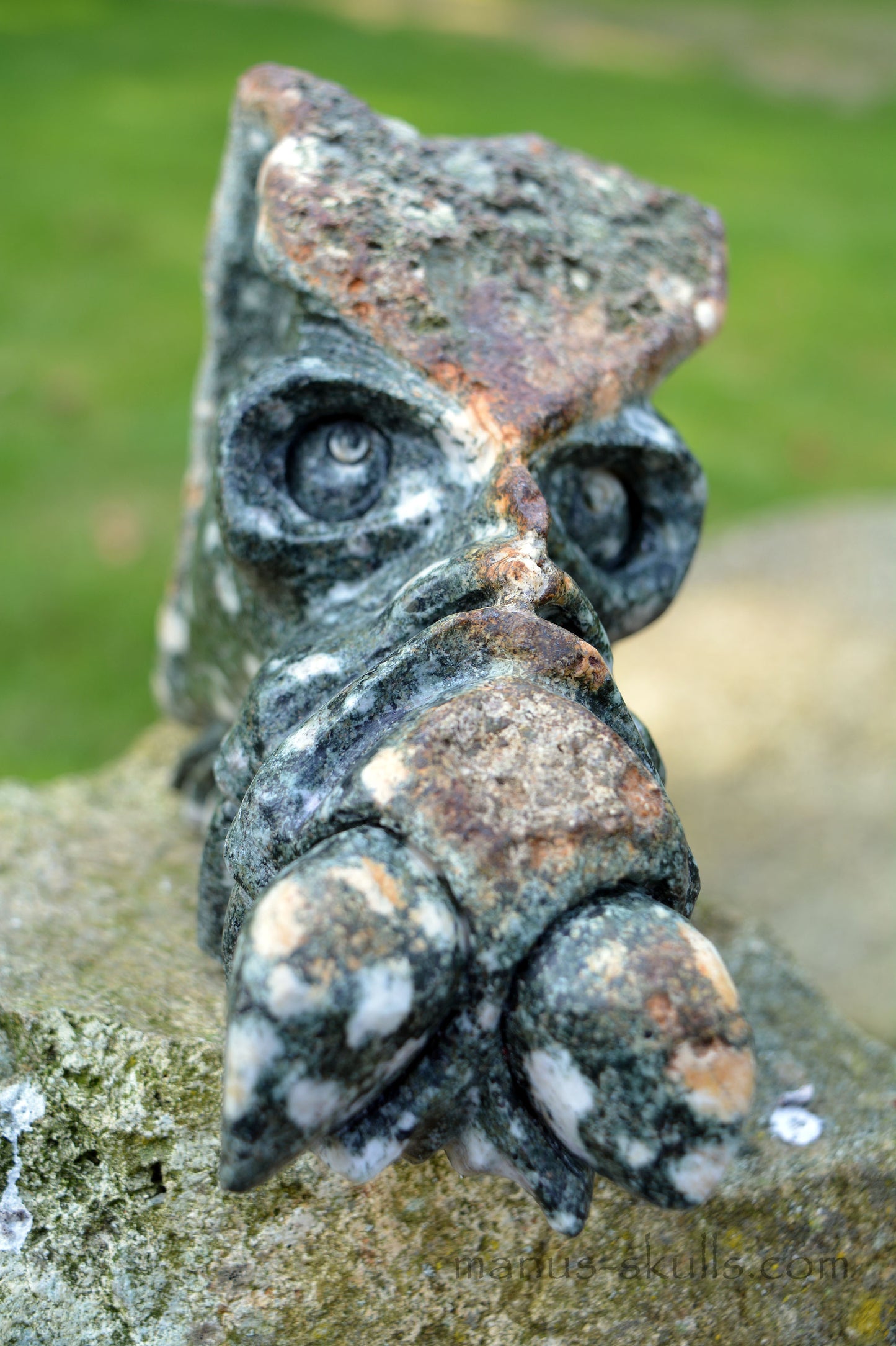 Large Preseli Bluestone Skull.