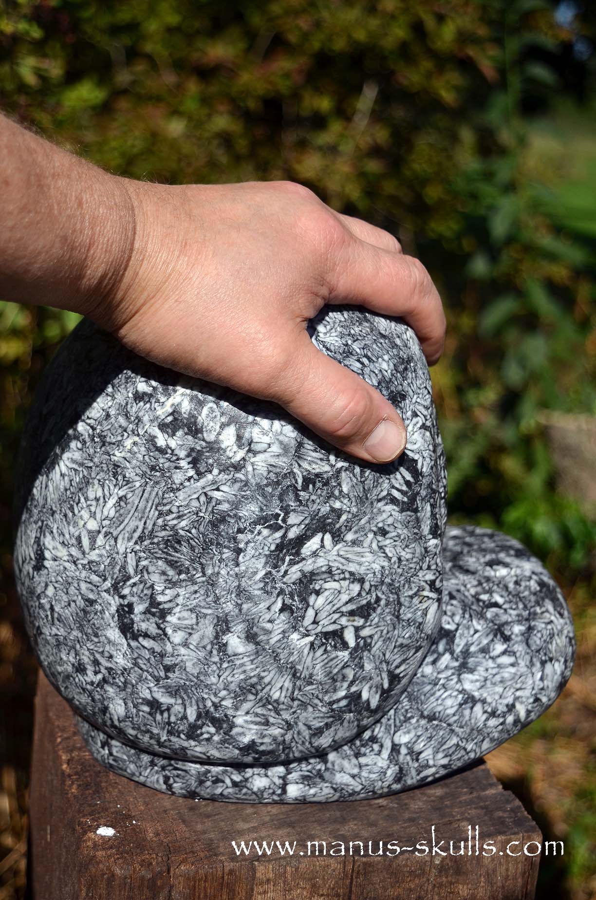 Austrian Pinolith Evolian #08