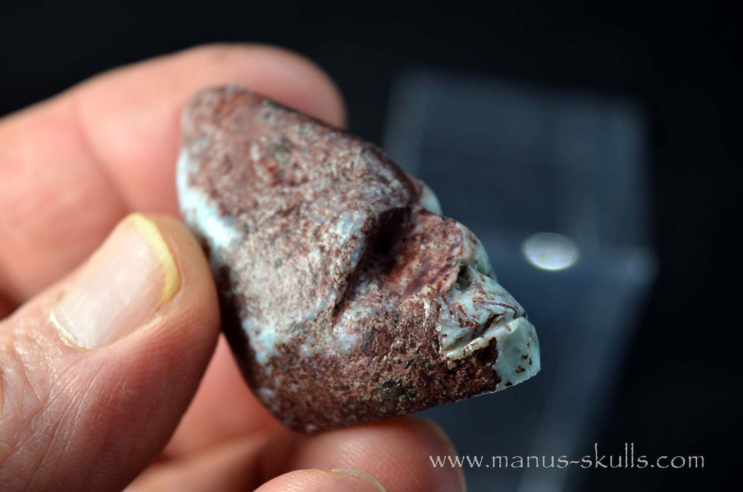 Conehead red Larimar Skull