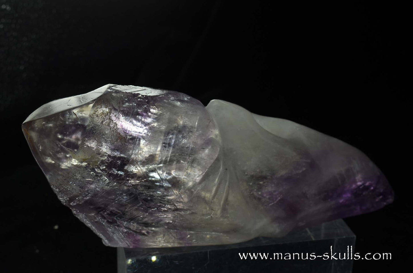 Phantom Amethyst Dragon Bird Skull .....
