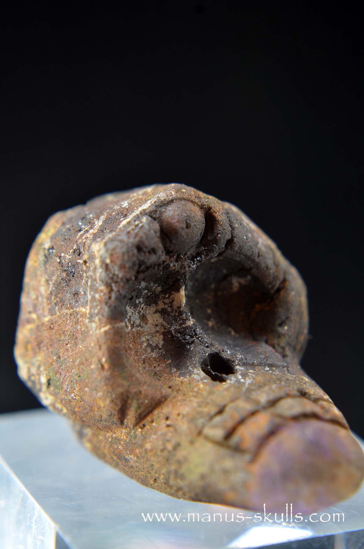 Manus skulls unique Crystal Carvings handmade skulls dragons pendants preseli bluestone tribals spiritual meaning wand Unicorn .. Evolian 2025 purpurite