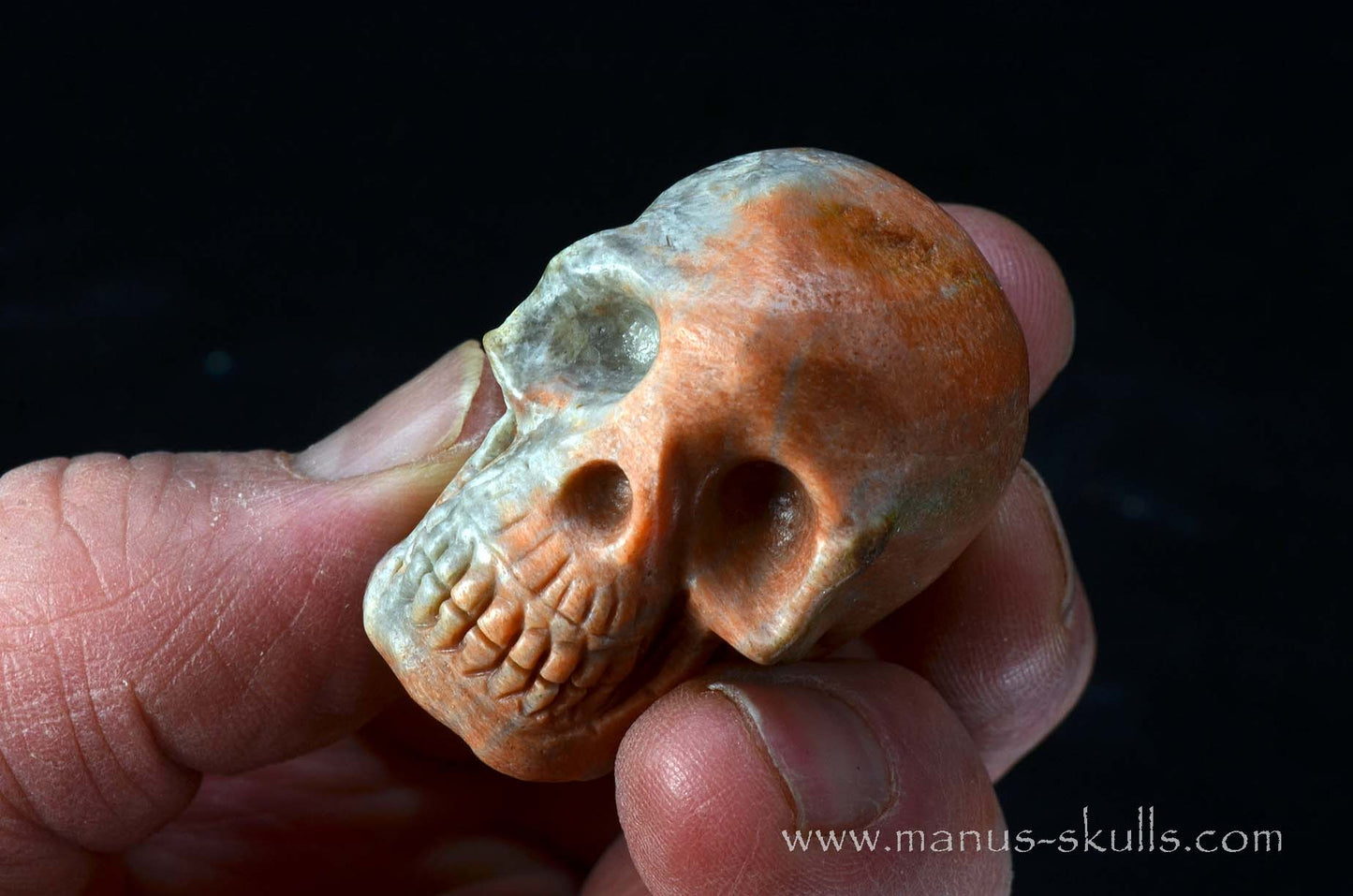 Rare Barytocelestine / Celestobaryte Skull