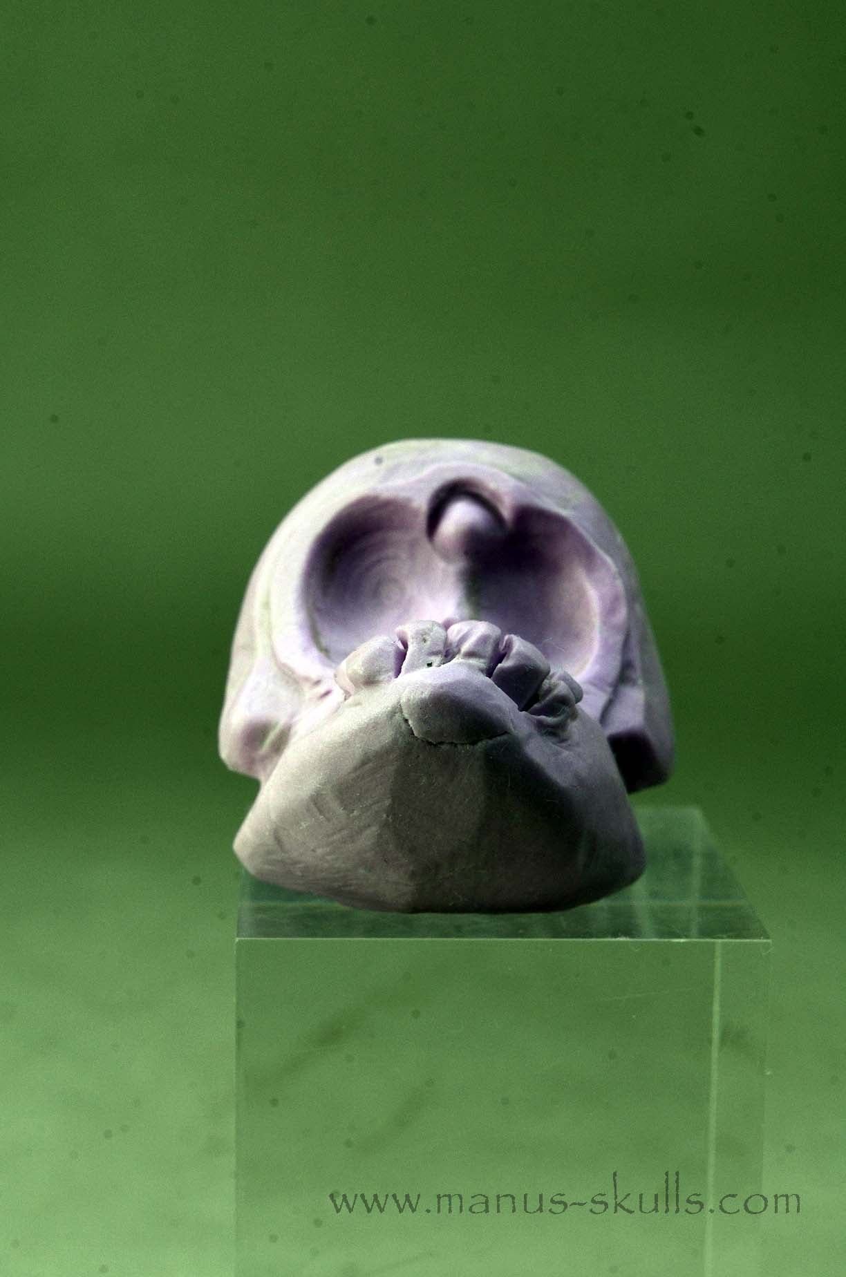 Phosphosiderite Evolian Skull #04
