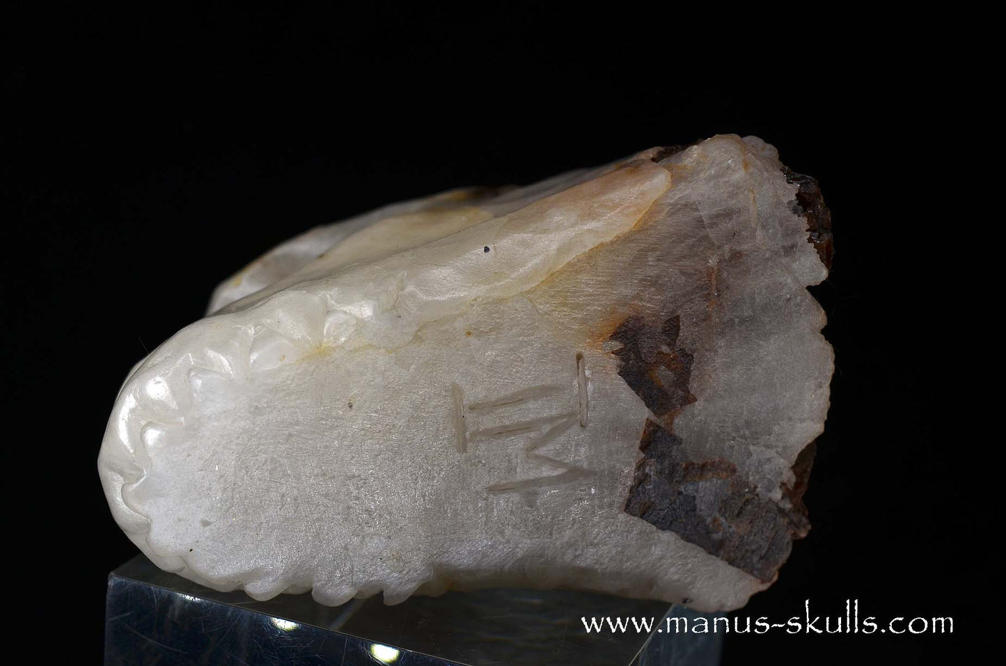Greenland Cryolite Dragon