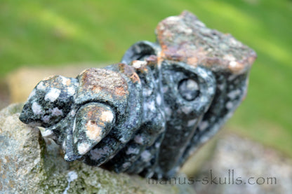 Large Preseli Bluestone Skull.