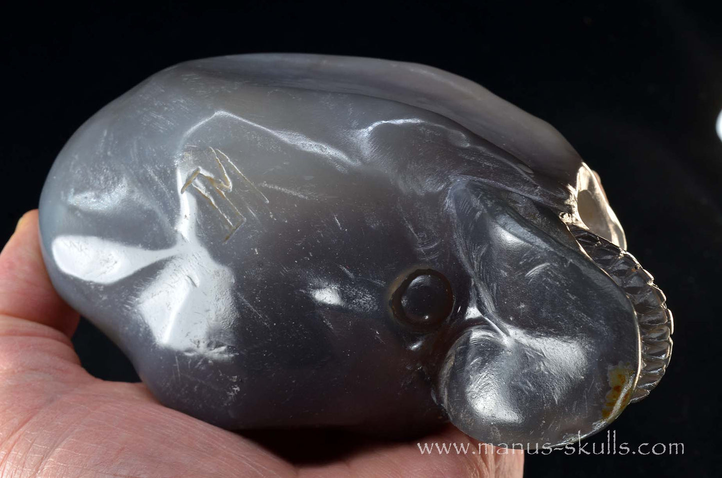 Open minded Chalcedony Geode Skull