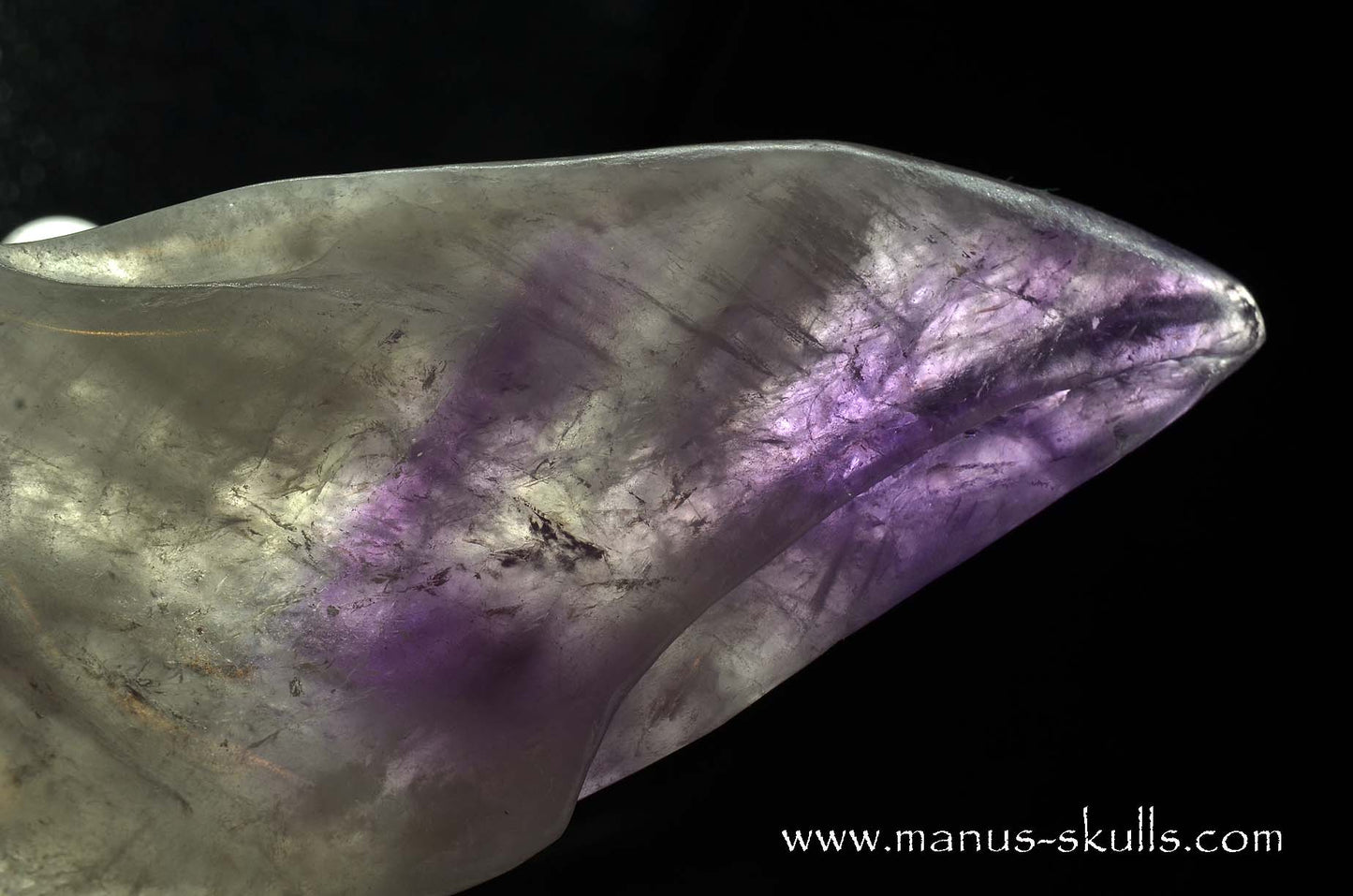 Phantom Amethyst Dragon Bird Skull .....