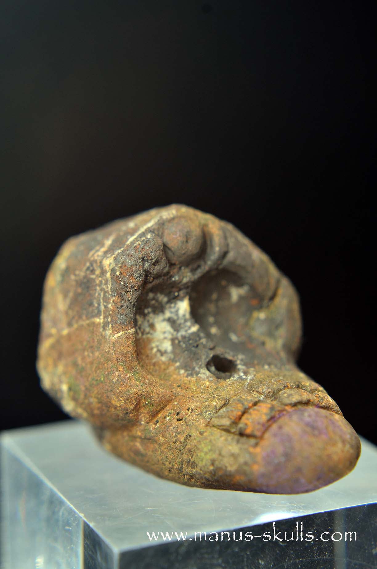 Manus skulls unique Crystal Carvings handmade skulls dragons pendants preseli bluestone tribals spiritual meaning wand Unicorn .. Evolian 2025 purpurite