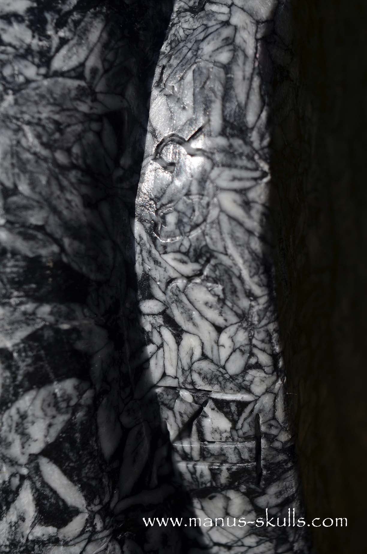 Austrian Pinolith Evolian #08