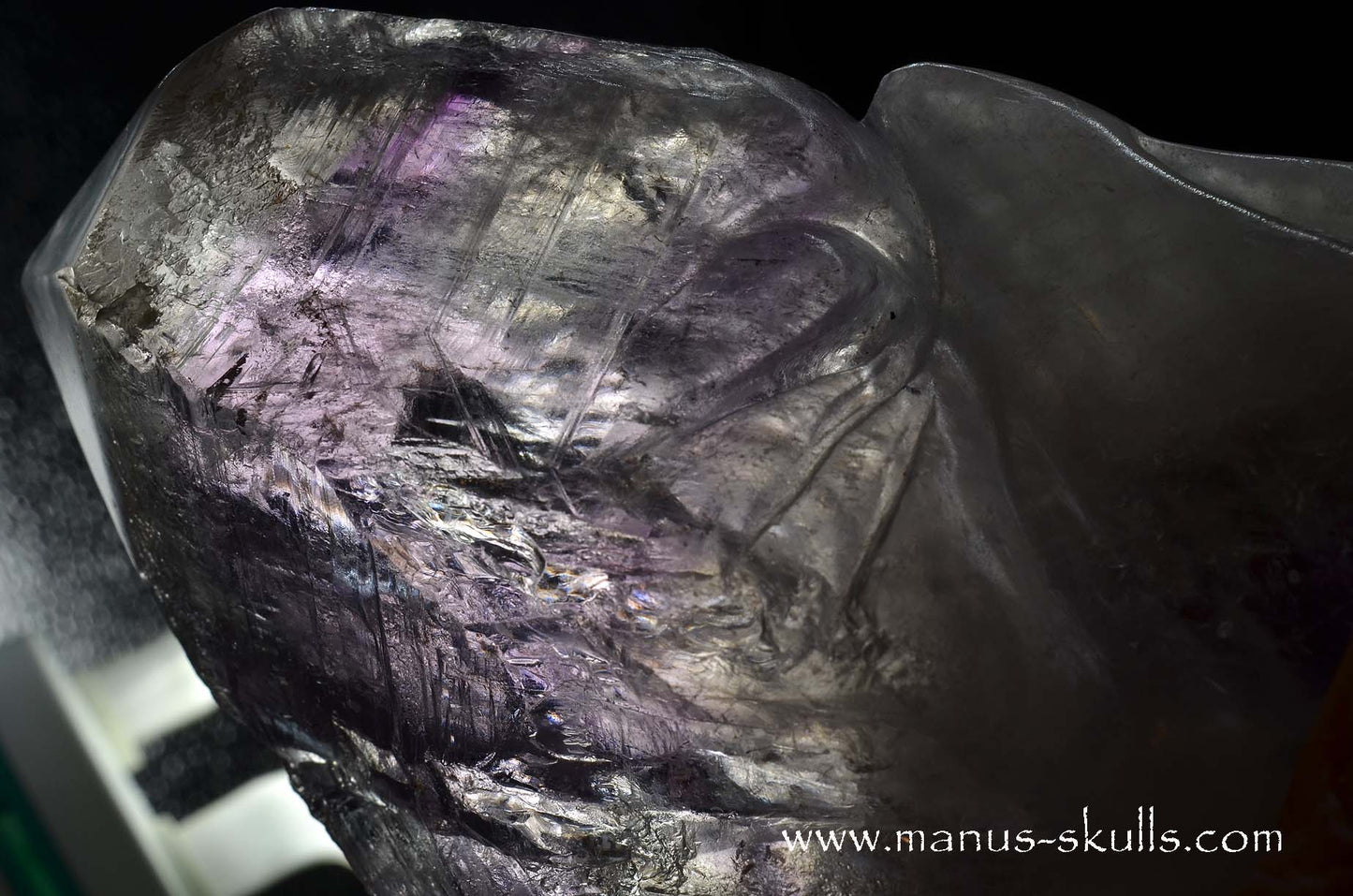 Phantom Amethyst Dragon Bird Skull .....