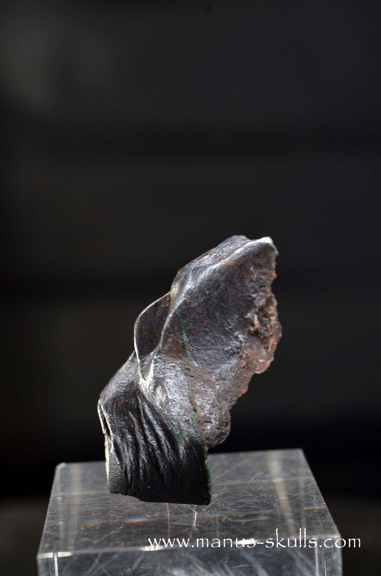 Cuprite Character Skull