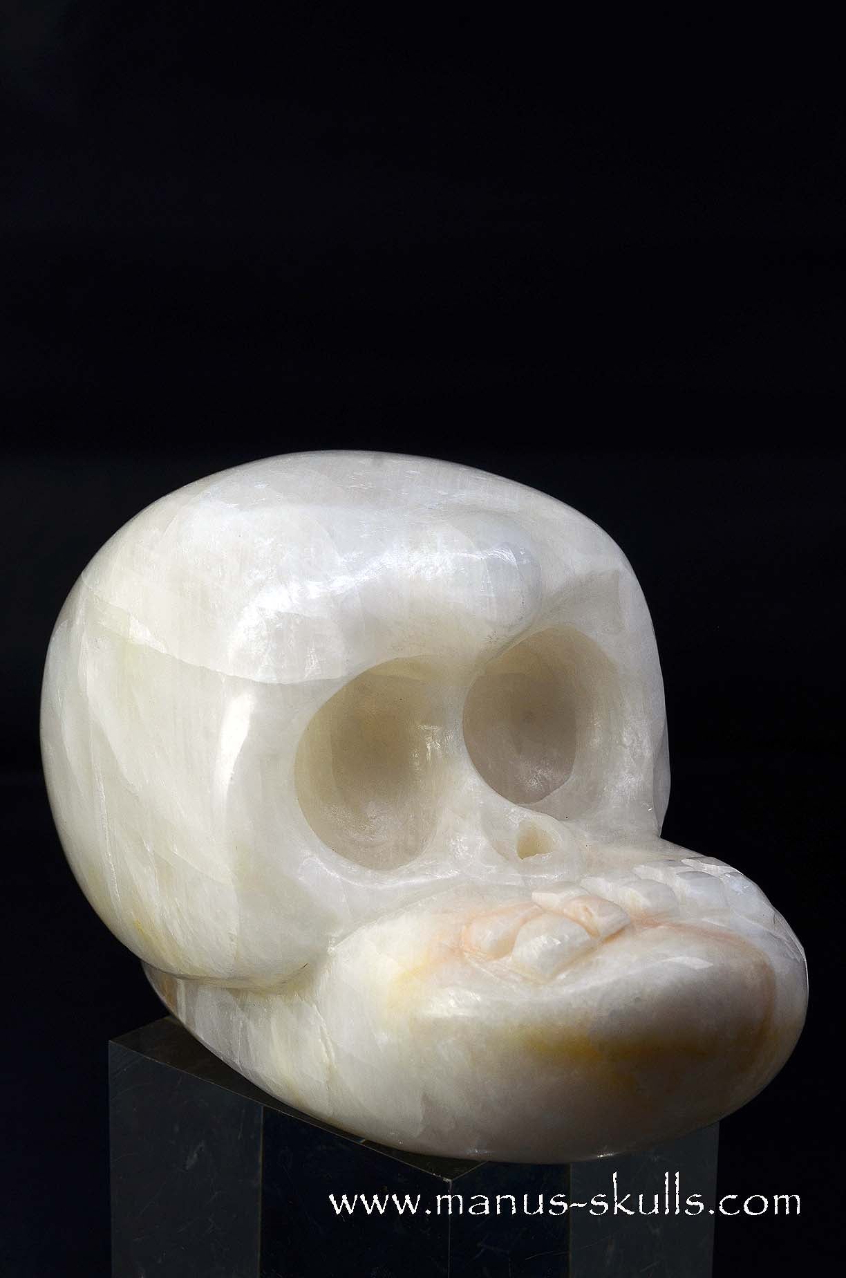 White Calcite Evolian Skull  #06