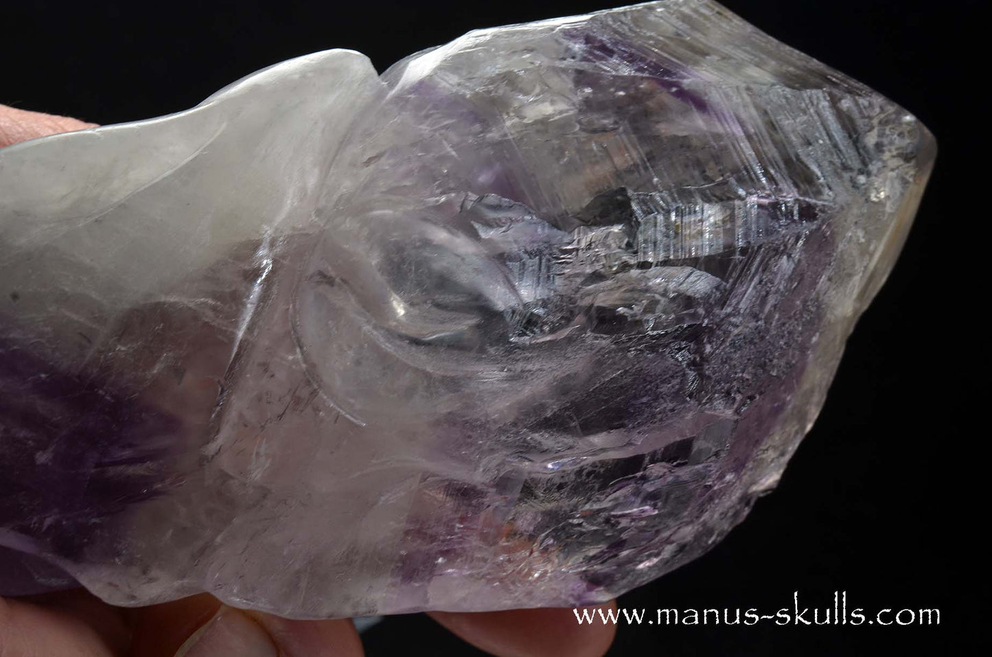 Phantom Amethyst Dragon Bird Skull .....