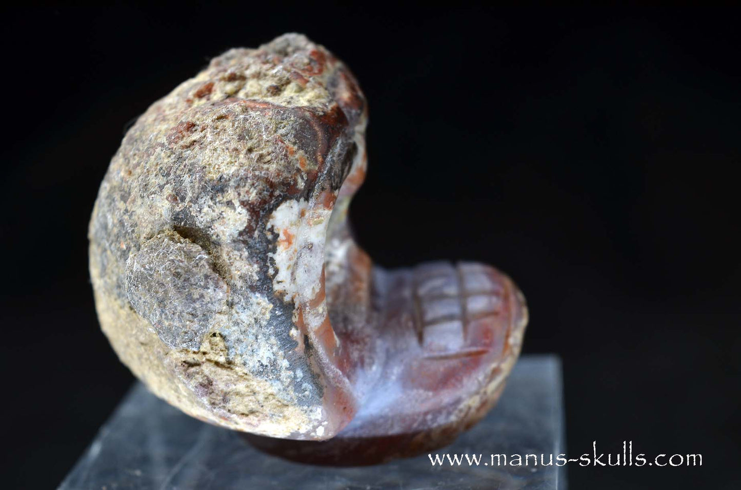 Agate Geode Evolian #04