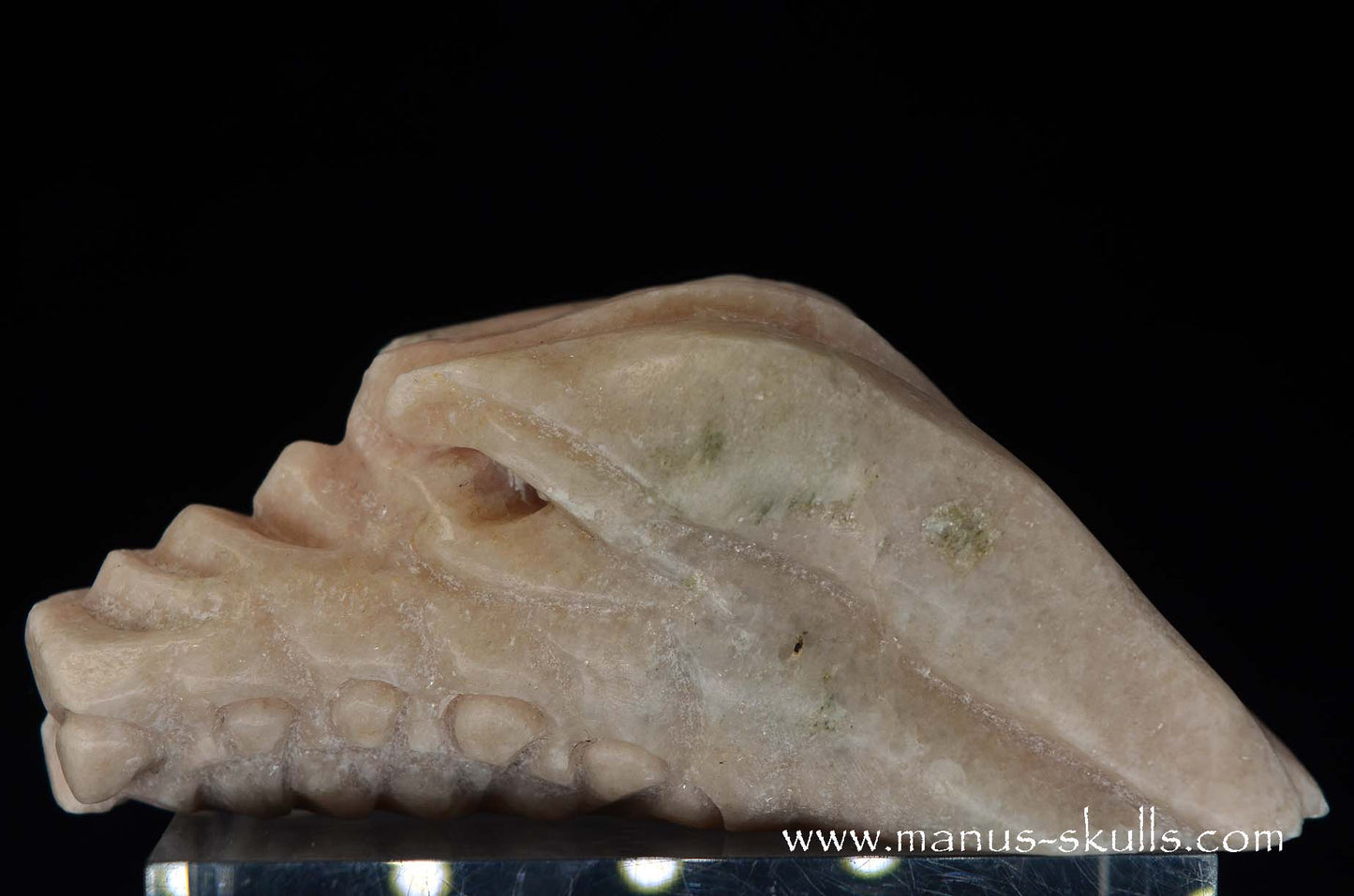 Austrian Pink Solker Marble Dragon