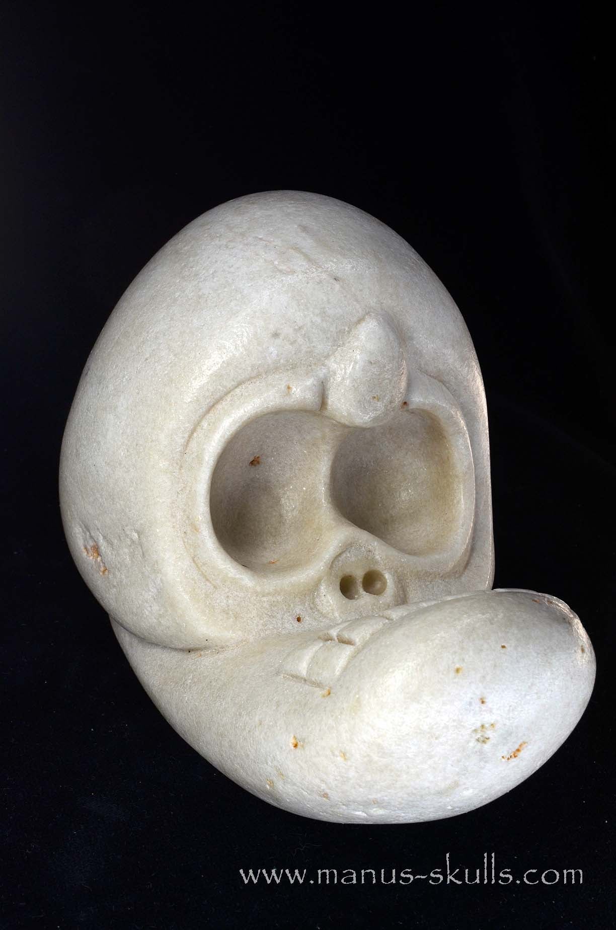 Manus skulls unique Crystal Carvings handmade skulls dragons pendants preseli bluestone tribals spiritual meaning wand Unicorn ..  white steatite 2026 Evolian