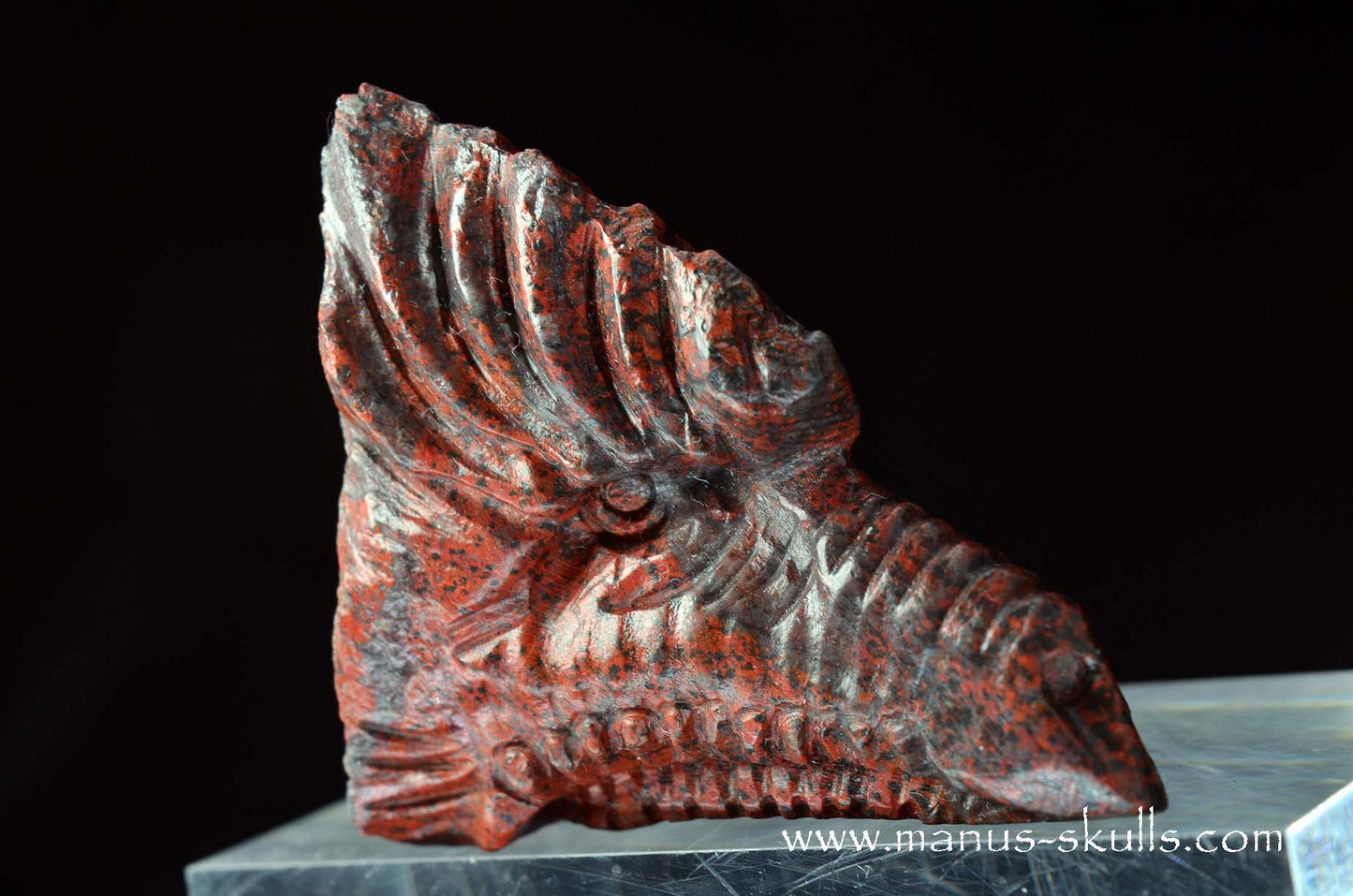 Sonora Sunrise Dragon