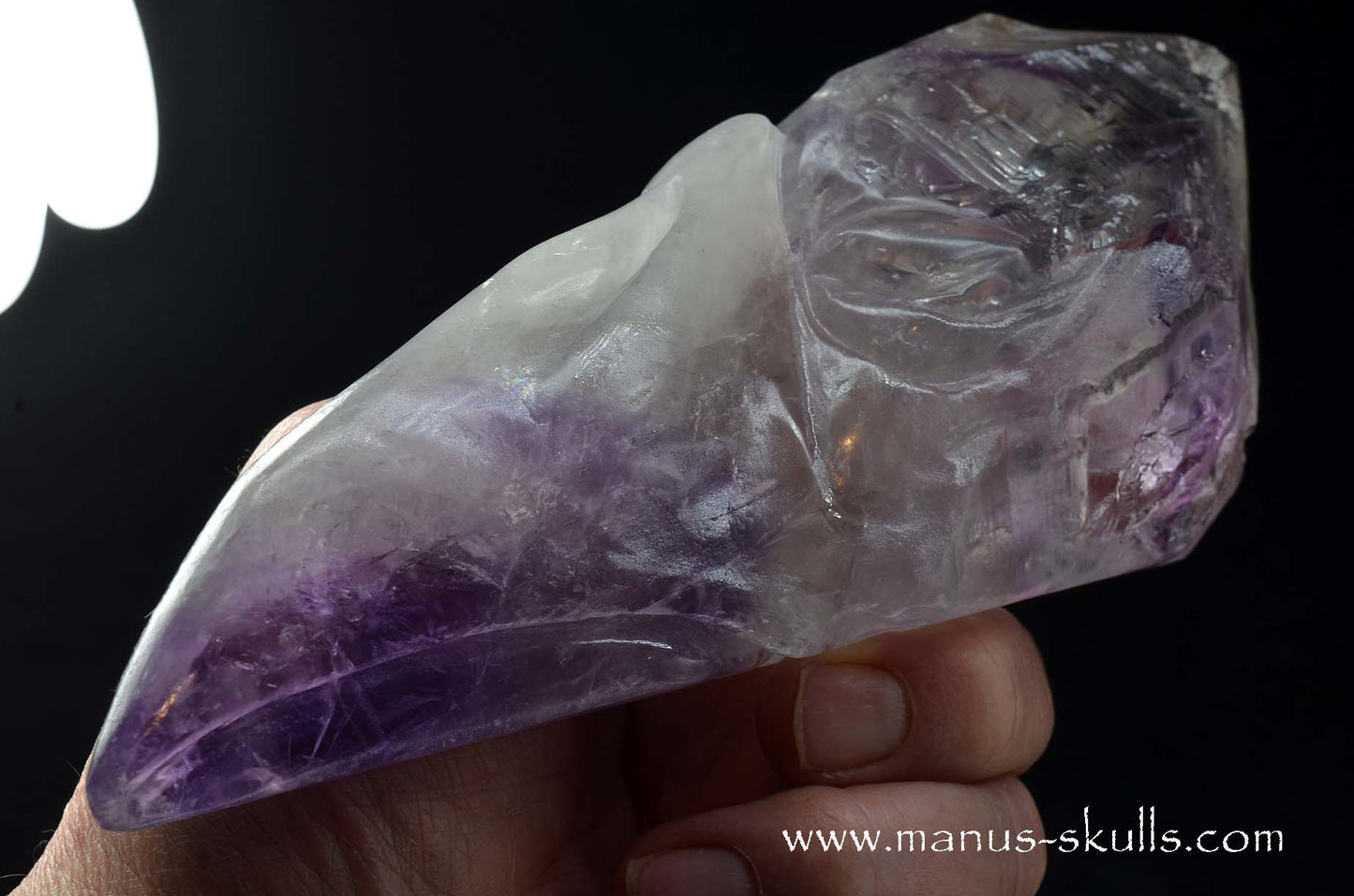 Phantom Amethyst Dragon Bird Skull .....