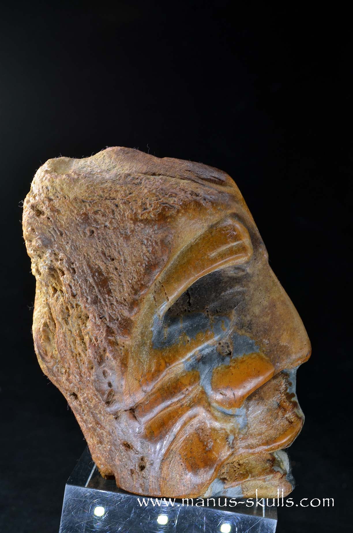 Polychrome Jasper Skull Face