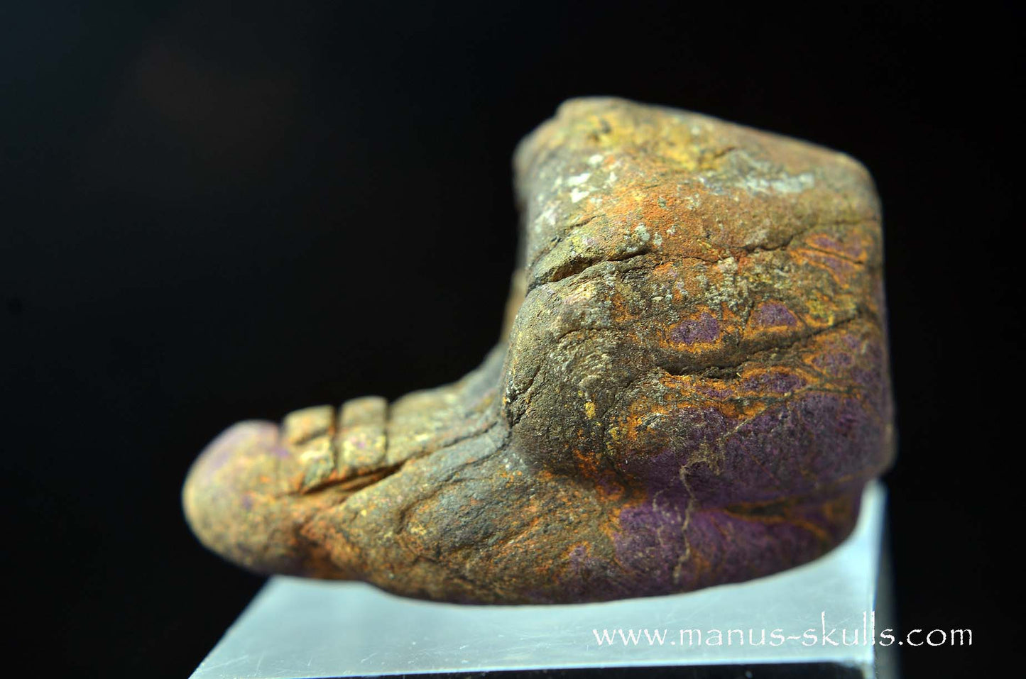 Purpurite Evolian #01