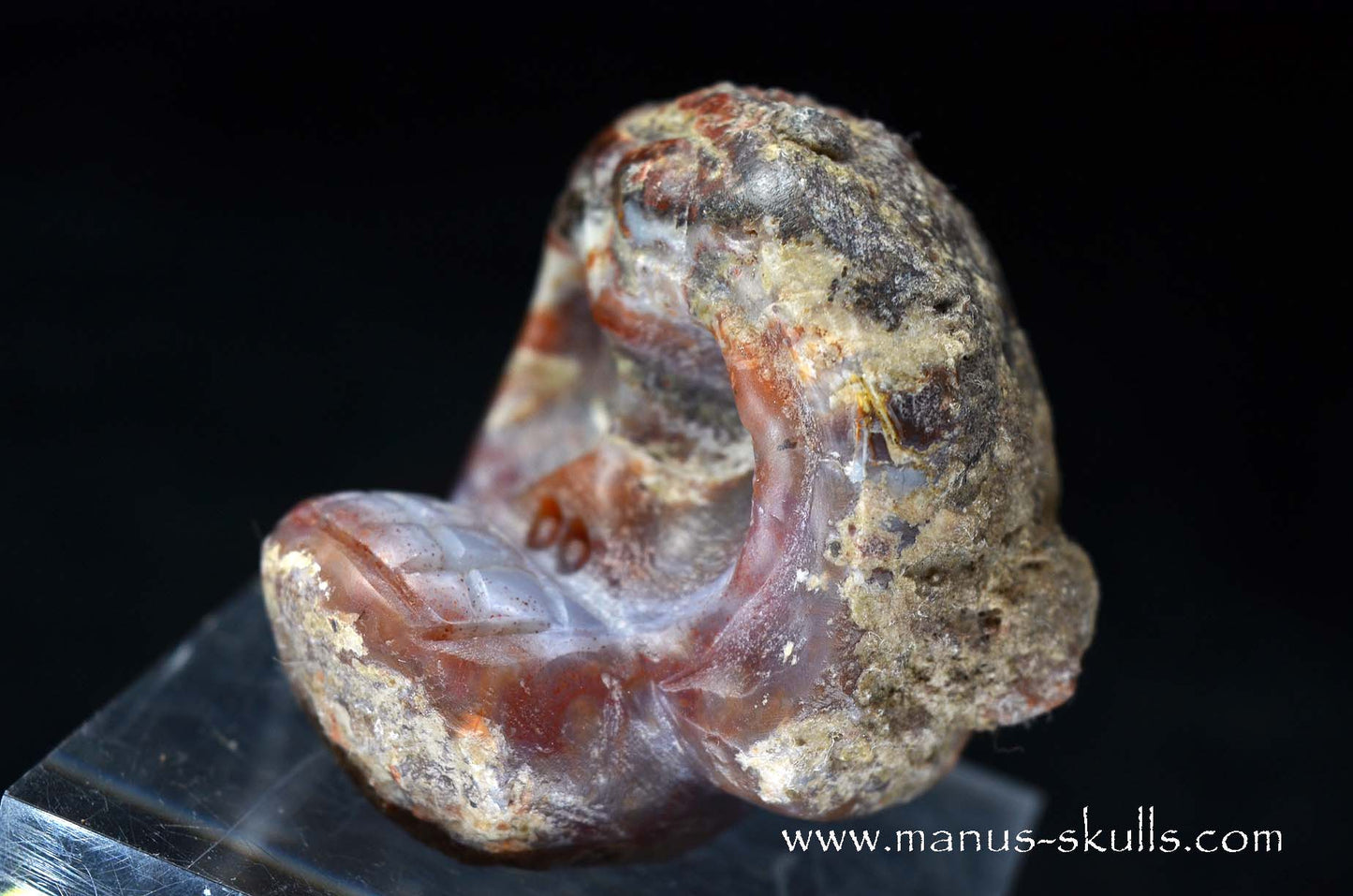 Agate Geode Evolian #04