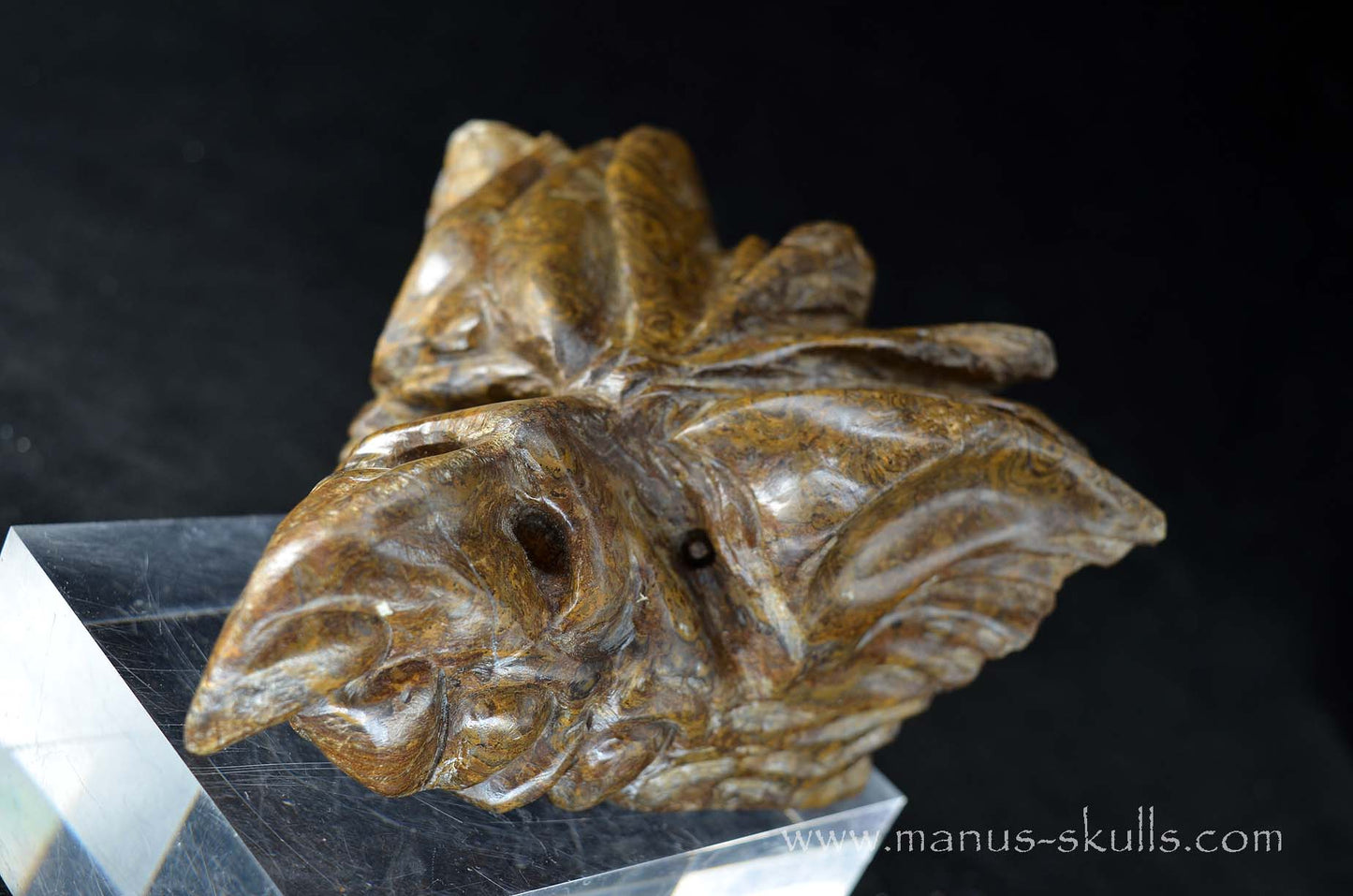 Stromatolite Dragon