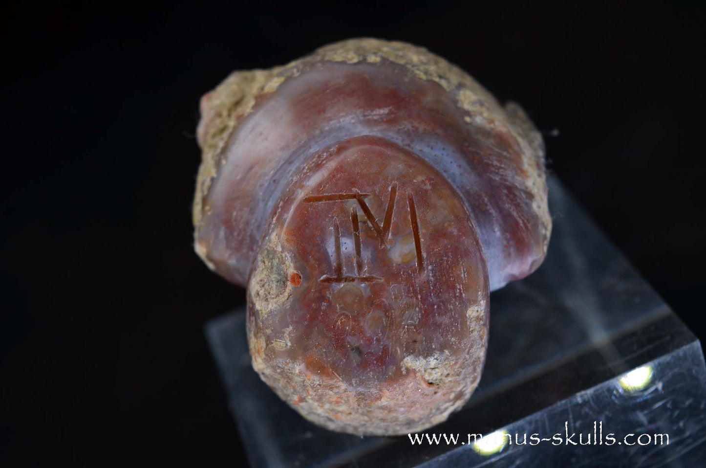 Agate Geode Evolian #04