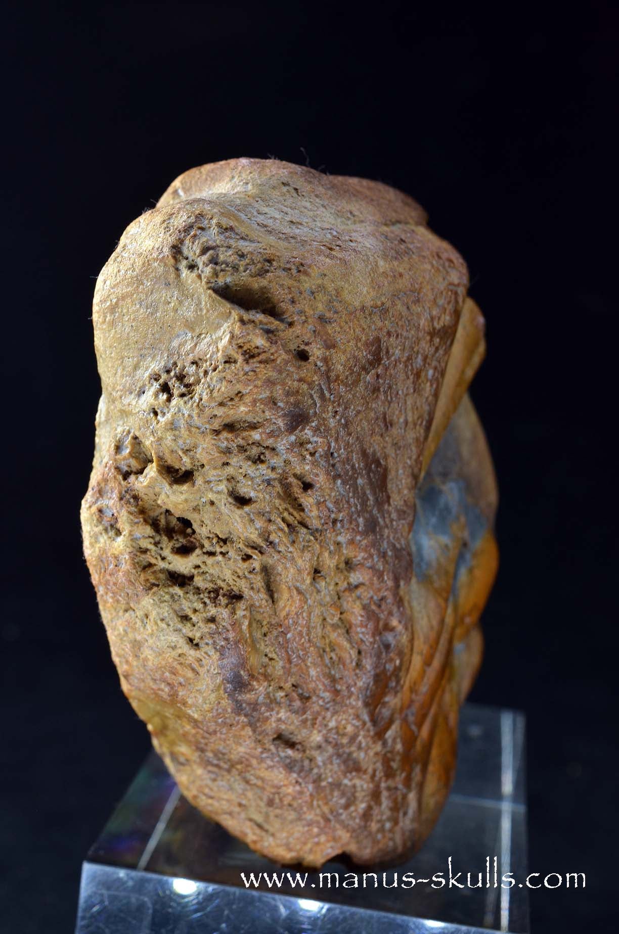 Polychrome Jasper Skull Face