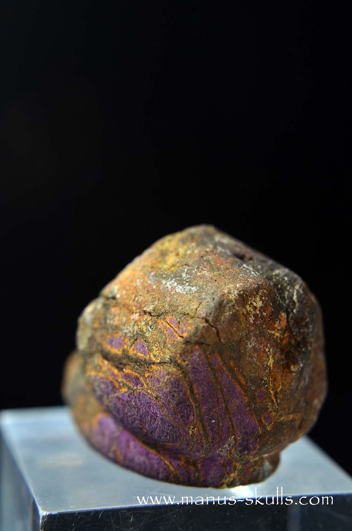 Purpurite Evolian #01