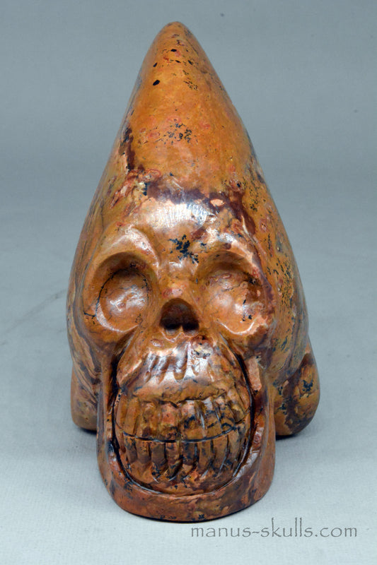 Landscape Jasper Conehead Skull