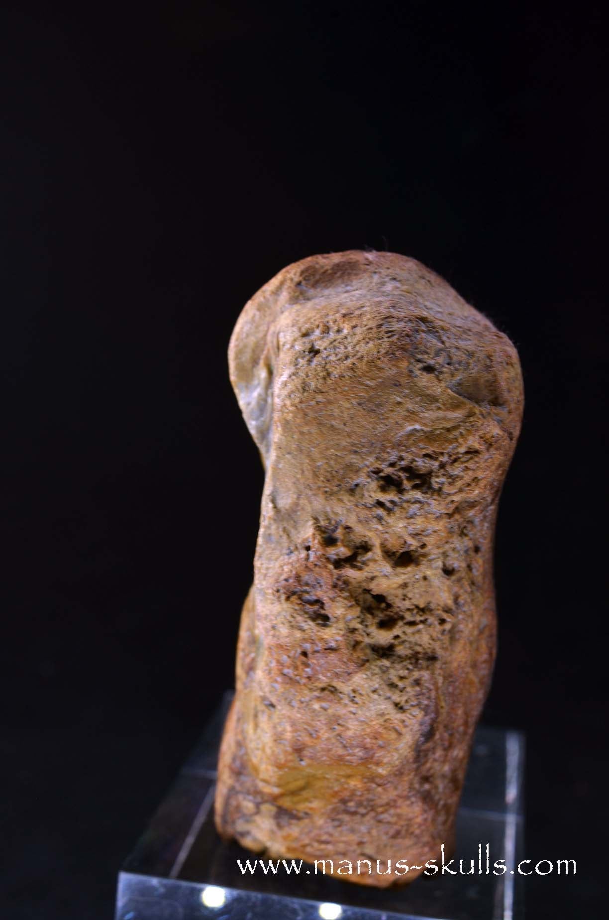 Polychrome Jasper Skull Face