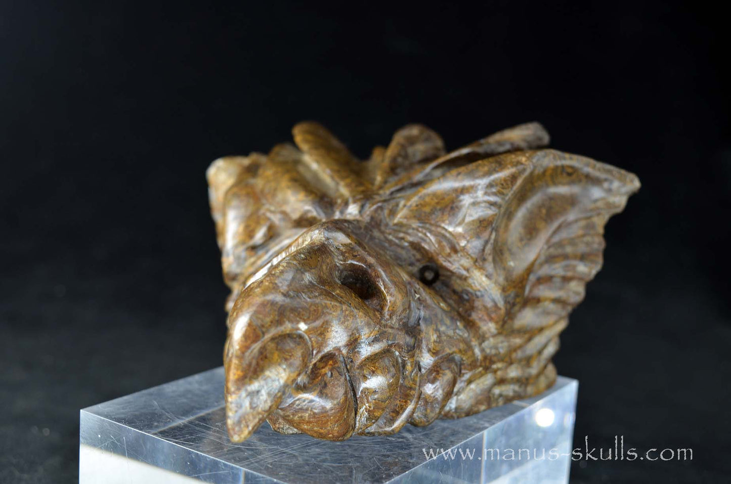 Stromatolite Dragon