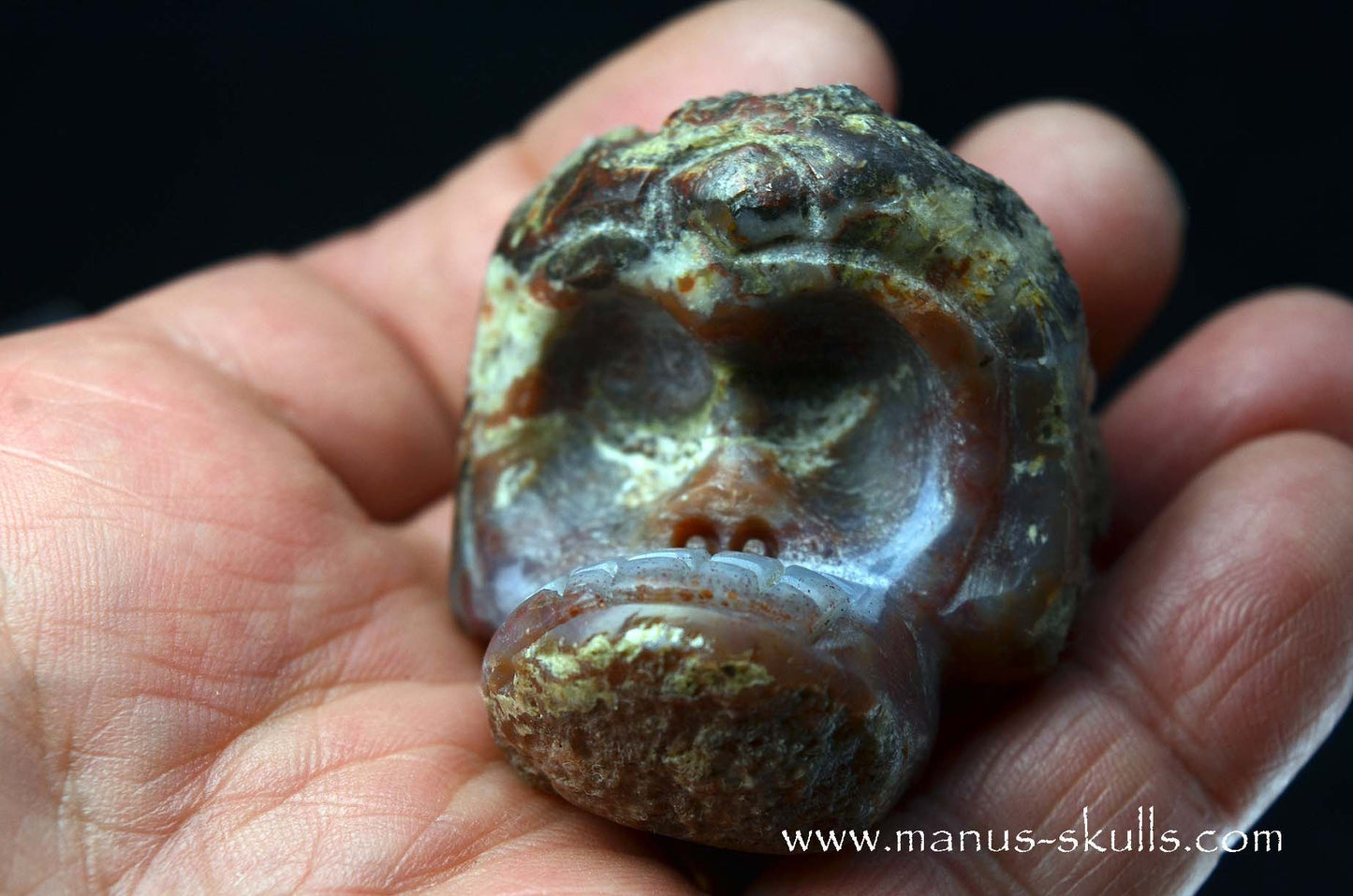 Agate Geode Evolian #04