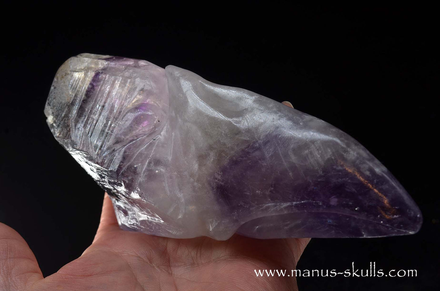 Phantom Amethyst Dragon Bird Skull .....